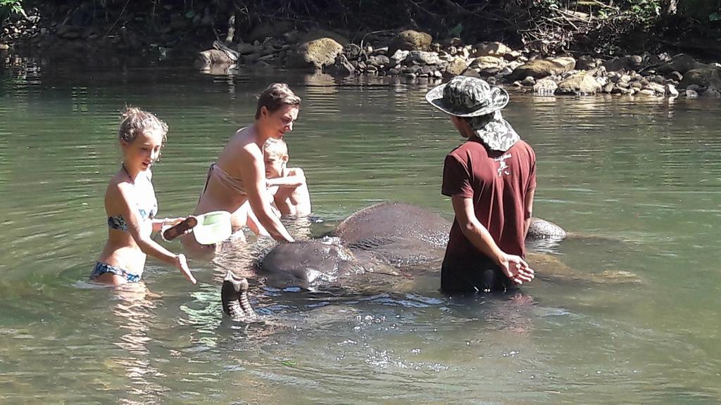 Khao Sok National Park Khao Sok Holiday Resort מראה חיצוני תמונה